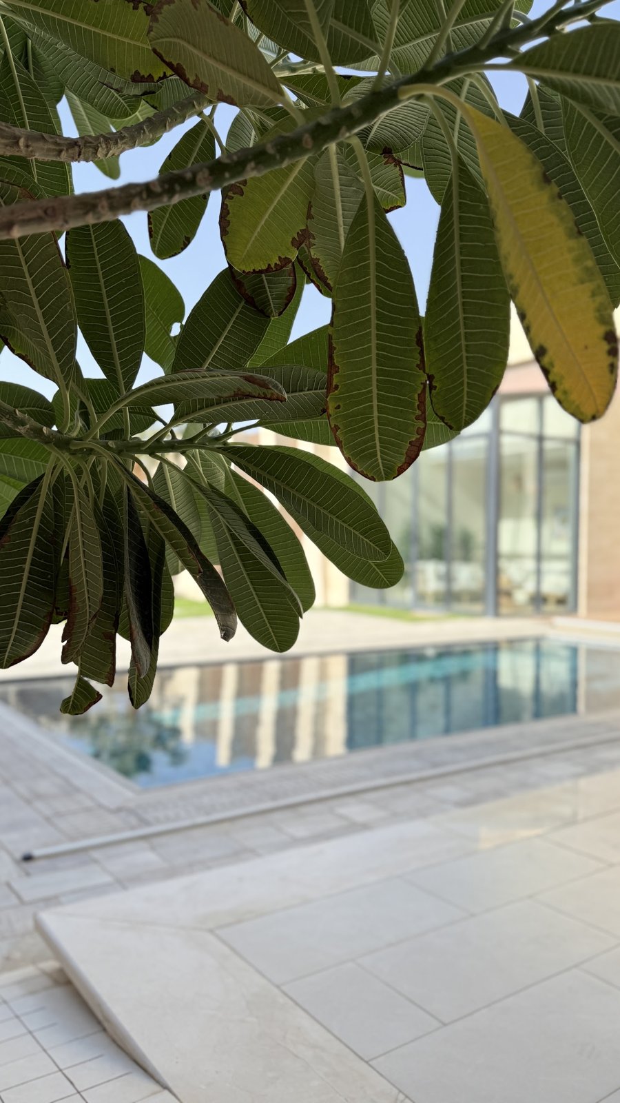 شاليه D1 — 31