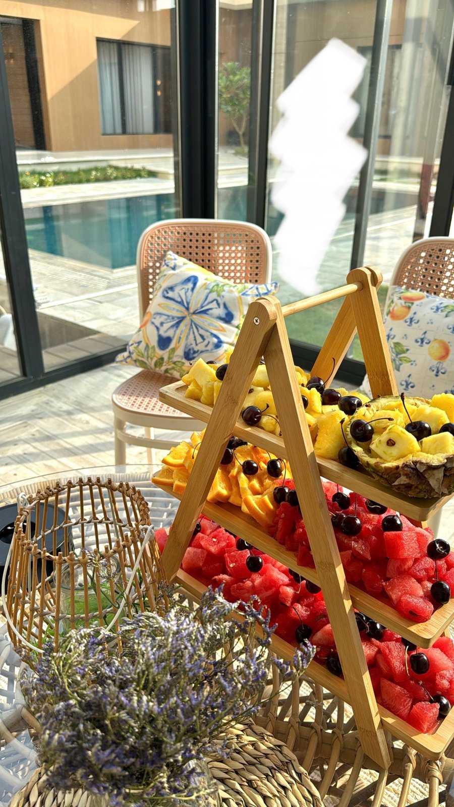 شاليه D1 — 51
