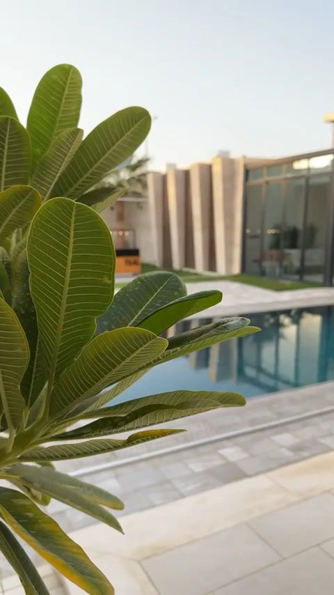 شاليه D1 — 39